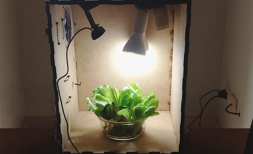 cropped-ITTAMPU-INNOVACION.jpg